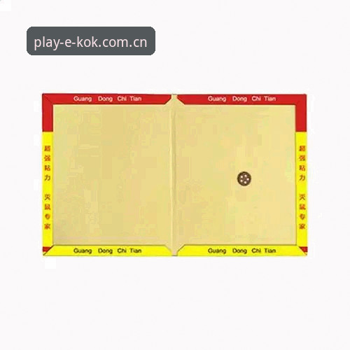 最新kok使用教程 kok官方APP vs 网页版:最新kok使用教程与深度对比分析